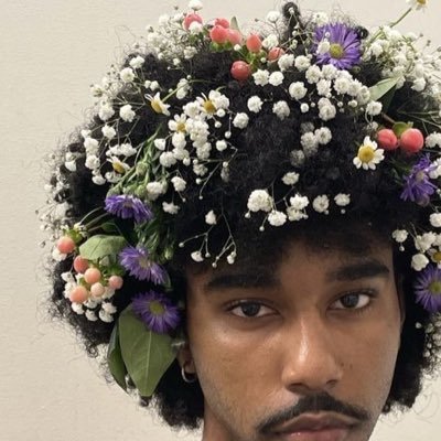 Non-binary || Asexual succubus || Pan || ambiamorous || 26yr || ADDICT|| anti-religious || romantic || Living with DID || celebrity's burner account