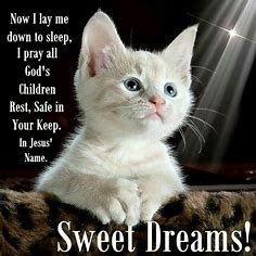 asia_hale2735's profile picture. 