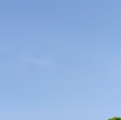 mさんのプロフィール画像
