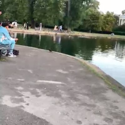 FBomeshal's profile picture. 