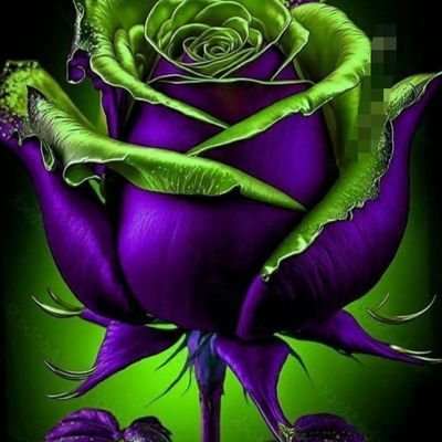 StephenFlande13's profile picture. Just browsing