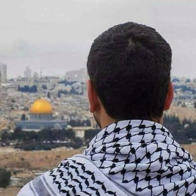 mahdishb3's profile picture. My official account @m60r_ from Gaza ✨📍