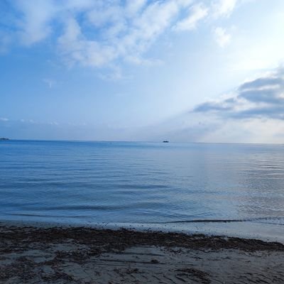 bash1845's profile picture. Descansando