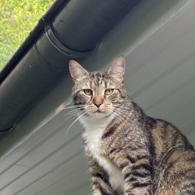Ludooo02's profile picture. 