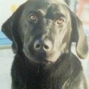 William Pender - @chadeax - Twitter