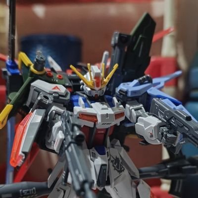 Alizeさんのプロフィール画像