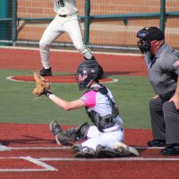 Gavin Warner (@gavinwarner_4) 's Twitter Profile