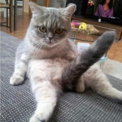 psnamph's profile picture. แอดไลน์ https://t.co/Zkh7l0i8Ny