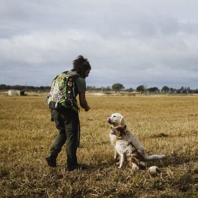 trusgui's profile picture. 