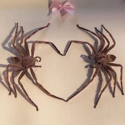 хельさんのプロフィール画像