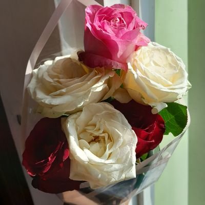 thesuncron's profile picture. 19 y