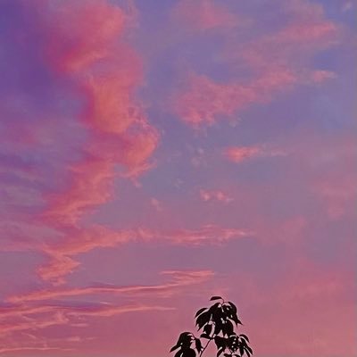ことりまる。さんのプロフィール画像