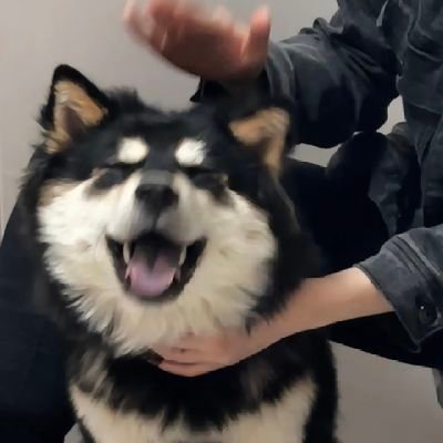 ZXTzxt123's profile picture. 