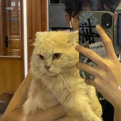 jujur capek