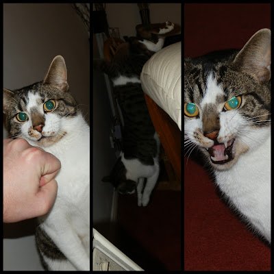 manzzzpl's profile picture. 