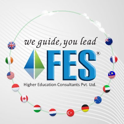 FES International Profile