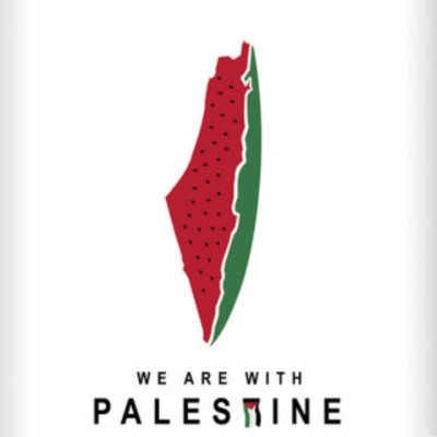 ttrikalis's profile picture. 