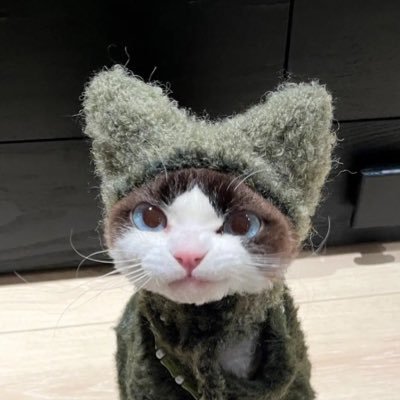 stackithan's profile picture. 24