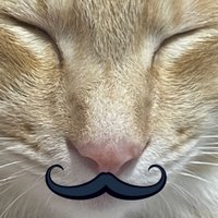 hiro.i 🏄‍♂️☕️🏌️‍♂️🥋🏂🏍🐈 (@hiroi10191012) 's Twitter Profile Photo