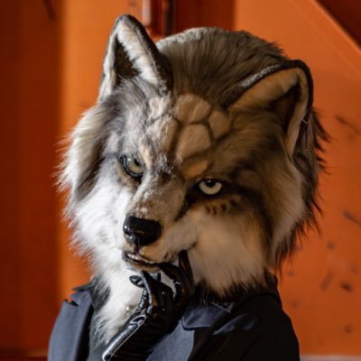 Loska_Schnee's profile picture. 🐺🪶/Fursuit🔰/ Disney / USJ /🪡(@Navy_gull) Owner:(@Python12PG)
