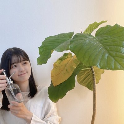 取引用に新しく作りました。5期生推しの一般人です。チケットや生写真の取引経験は何度もあります。 現地でちゃんと取引できる方のみ絡んで下さい🙏
