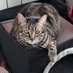 ArlyGo 🇪🇸 🏳️🌈Rojerío💩 AMO los😻 (@arlygo2) Twitter profile photo ArlyGo 🇪🇸 🏳️🌈Rojerío💩 AMO los😻 (@arlygo2) Twitter profile photo