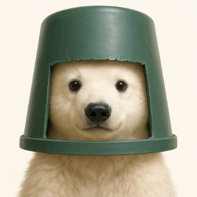 $BUCKET STAYS ON
CA: Asuu49BSxjz4Qj9hkdrwt3GpxdjvYUfbt5rXnsNWpump