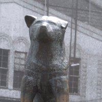 ᥫ᭡ (@melonniloo) 's Twitter Profile