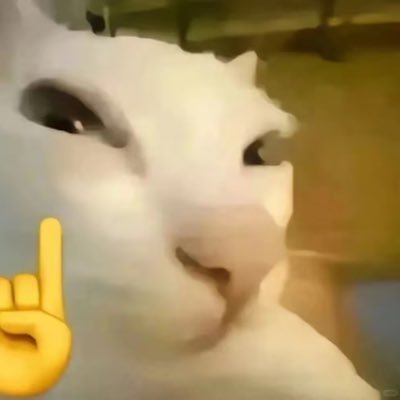 foryangsuo's profile picture. 学生14/174