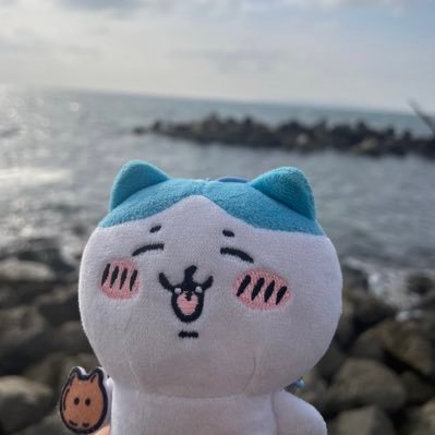 寿司さんのプロフィール画像