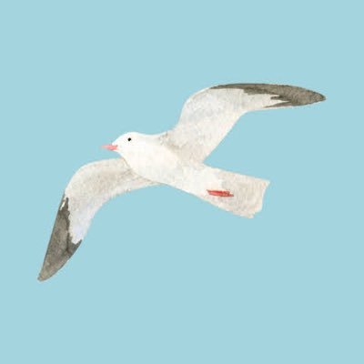 Imariasuka's profile picture. 