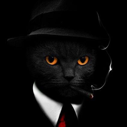Mr_Token28's profile picture.