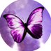butterflyMPN (@butterflympn) Twitter profile photo butterflyMPN (@butterflympn) Twitter profile photo
