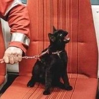 Nari (@nari_n_roll) 's Twitter Profile Photo