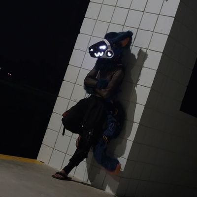 nebula_the_bean's profile picture. Nebula the bean ^x^ not much else to say about it it's just me ^x^