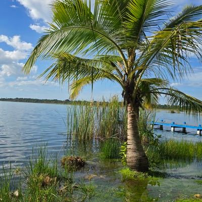 HabaDeCiales's profile picture. ((He/Haw)), Corinthians 420:69