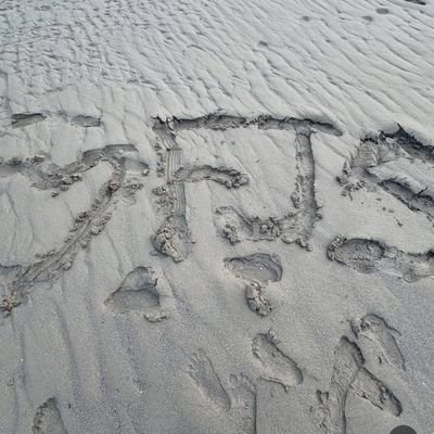 ca_locc's profile picture. 