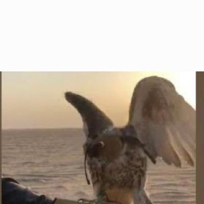 fars6667l's profile picture. شاعر 
       
اللهم صل وسلم علا نبينا محمد