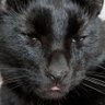 oikuratonag's profile picture. ストレスフリーな模活がモットー！
でもほんとはもっと上手くなりたいw
プラモ垢さん猫垢さん無言フォロー失礼しまっす！