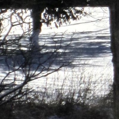 D2LTAX's profile picture. 19