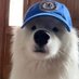 copterr (@copterkubb) Twitter profile photo copterr (@copterkubb) Twitter profile photo