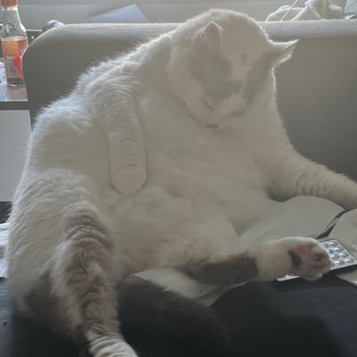 Batanyx's profile picture. somewhat artist