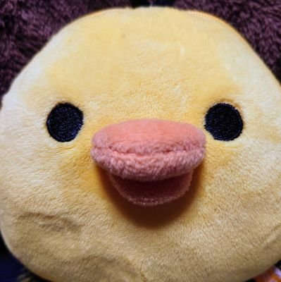 ユニコーン、奥田民生さんが3度の飯より好きです♪
キイロイトリが好き🐤
ミニチュアダックス🐶と同居しています。大型犬が好きです。
タイムラインを追えていません💧
副業とか興味ないのでフォローお断りです。
