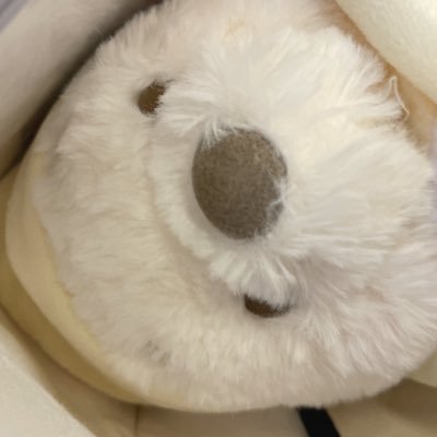 ふーちゃんさんのプロフィール画像