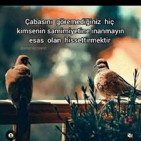 murat cuckold dostu (@murat144035) 's Twitter Profile