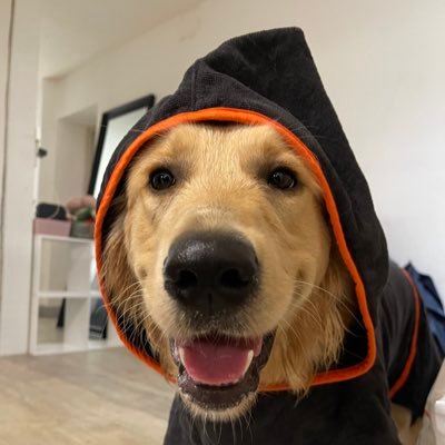 ooAnim's profile picture. 