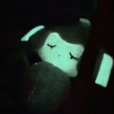 くまぱん くまぱんセット 〜くまぱんのおすすめパン〜 | くまのパン屋ウーフ