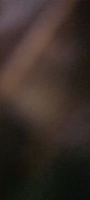 crecex15684's profile picture. Mejor lamentarse que arrepentirse
