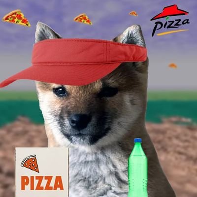 cRypTo fOol , DegEn, Memecoin Enthusiast , $San Chan Admin 🐾🇯🇵