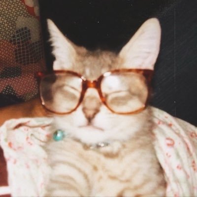 _dearyou05's profile picture. ⭐️🍅🦈 always love you ⋆˚✿˖°
                             ( @williamjkp1 @estrvp )⭑𓂃